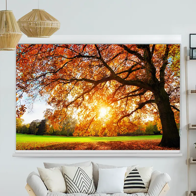 Kassettenrollo Motiv "Baum Herbst Sonnenstrahlen" | bis B 420 x H 420 cm