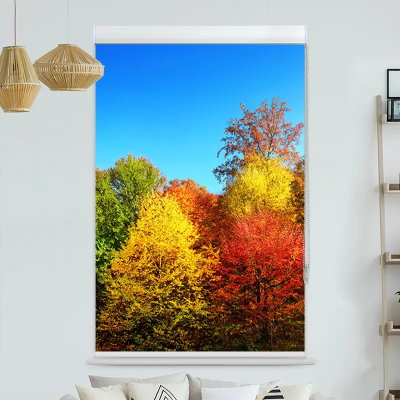 Kassettenrollo Motiv "Bunter Herbstwald" | bis B 420 x H 420 cm