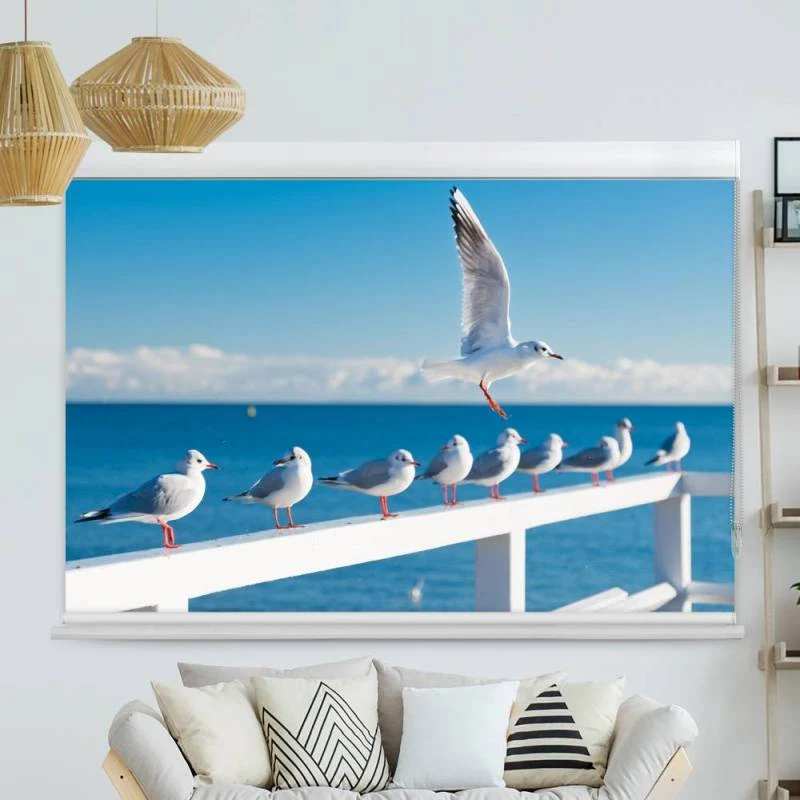Kassettenrollo Motiv "Moewen Meer" | bis B 420 x H 420 cm