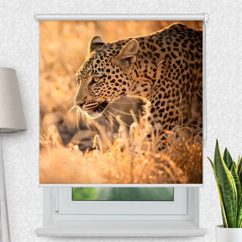 Motivrollo 'Leopard Sonnenuntergang' | Bis B 430 x H 440 cm
