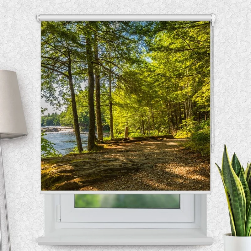 Motivrollo 'Wald See' | Bis B 430 x H 440 cm