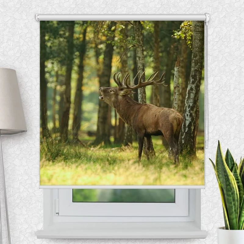 Motivrollo 'Hirsch Wald' | Bis B 430 x H 440 cm