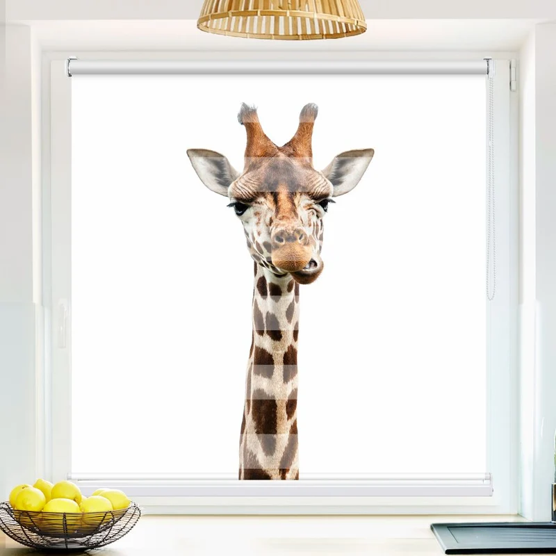 Klemmfix Doppelrollo 'Giraffe' | Klemm Doppelrollo