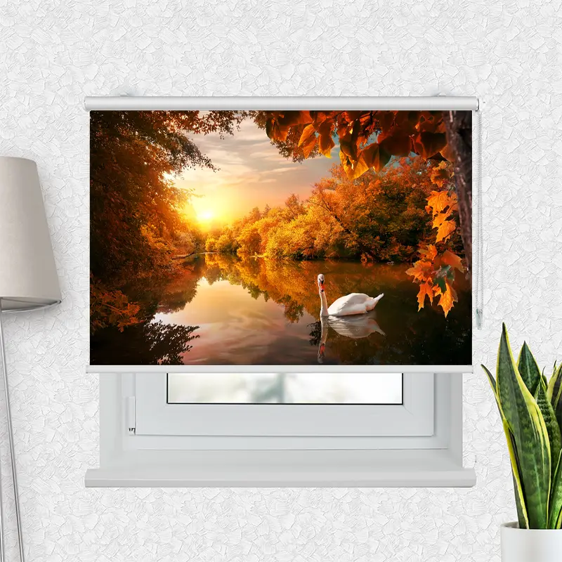 Motivrollo "Schwan auf Herstteich" | Bis B 430 x H 440 cm