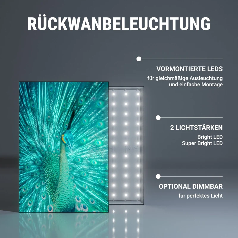 LED Spannrahmen "ProLight60"