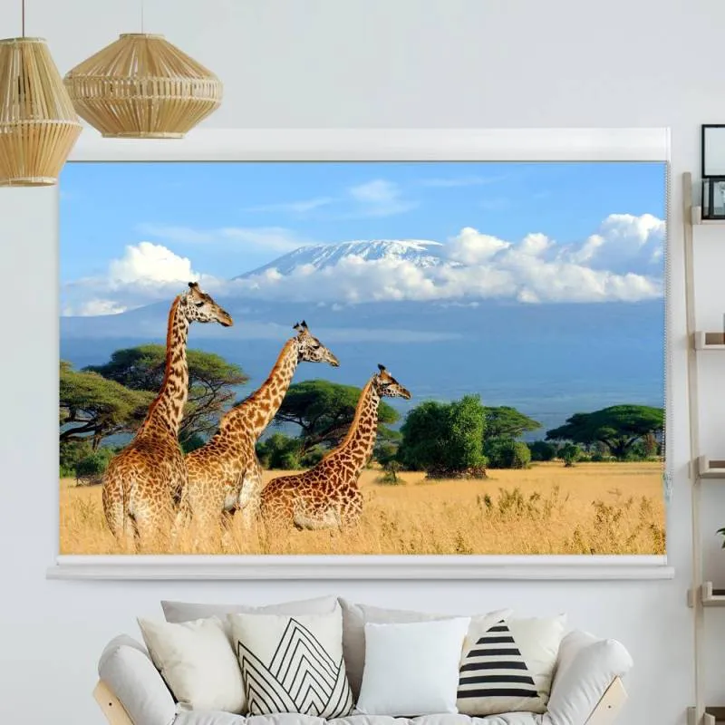 Kassettenrollo Motiv "Giraffen Am Kilimandscharo" | bis B 420 x H 420 cm