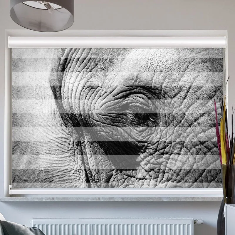 Doppelrollo mit Kassette "Elefant Afrika Auge"