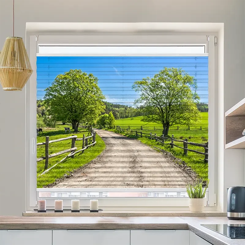 Wabenplissee Motiv "Landschaft mit Gras und Kühen"