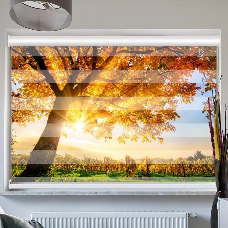 Doppelrollo mit Kassette "Baum Herbst Sonnenschein"