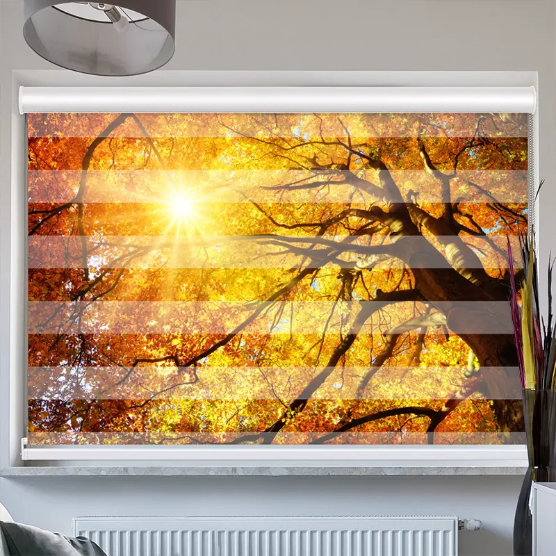 Doppelrollo mit Kassette "Baumkrone Herbst Sonnenschein"