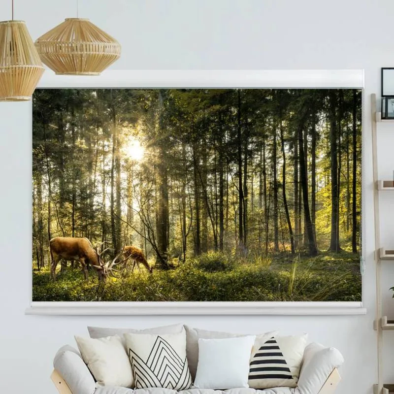 Kassettenrollo Motiv "Hirsch Reh Wald" | bis B 420 x H 420 cm