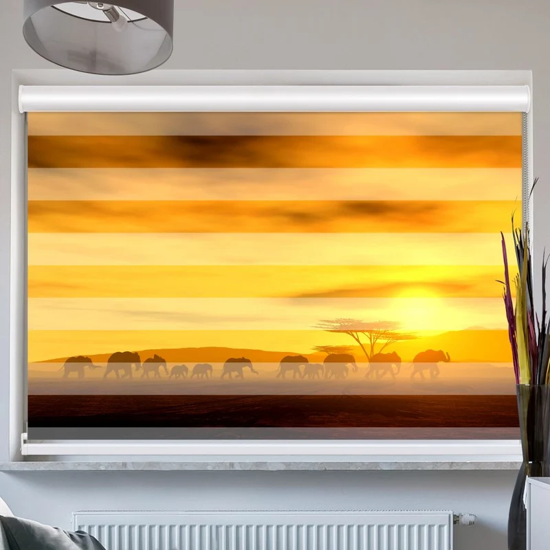 Doppelrollo mit Kassette "Afrika Elefanten"