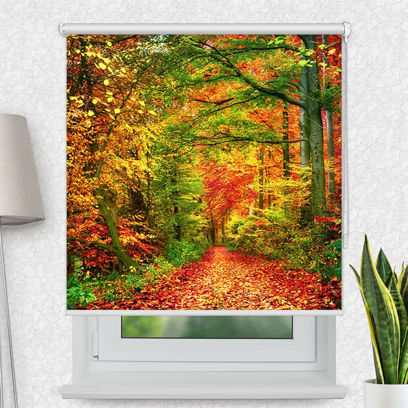 Klemmfix Rollo "Weg Im Herbstwald" | Motiv-Klemmrollo