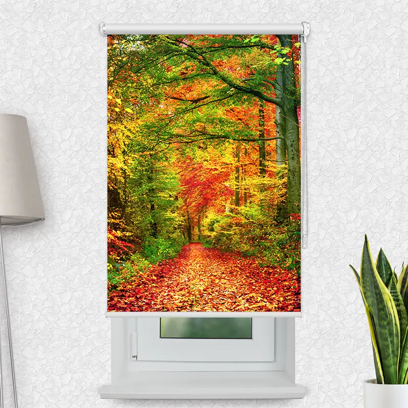 Klemmfix Rollo "Weg Im Herbstwald" | Motiv-Klemmrollo