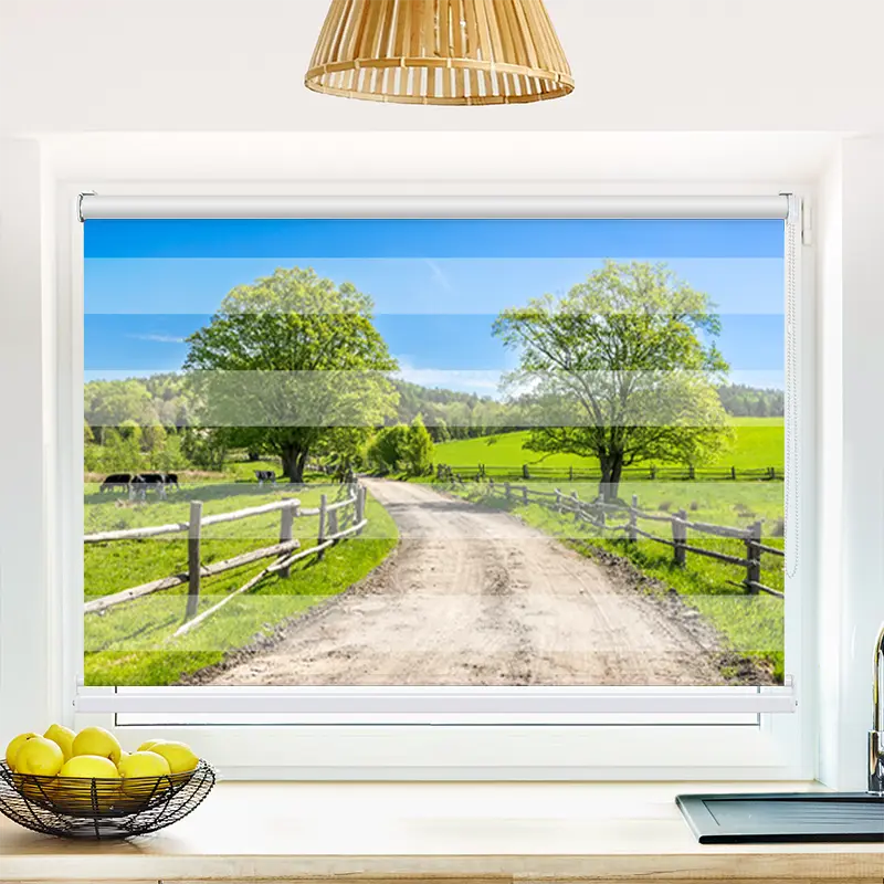 Klemmfix Doppelrollo "Landschaft mit Gras und Kühen" | Klemm Doppelrollo