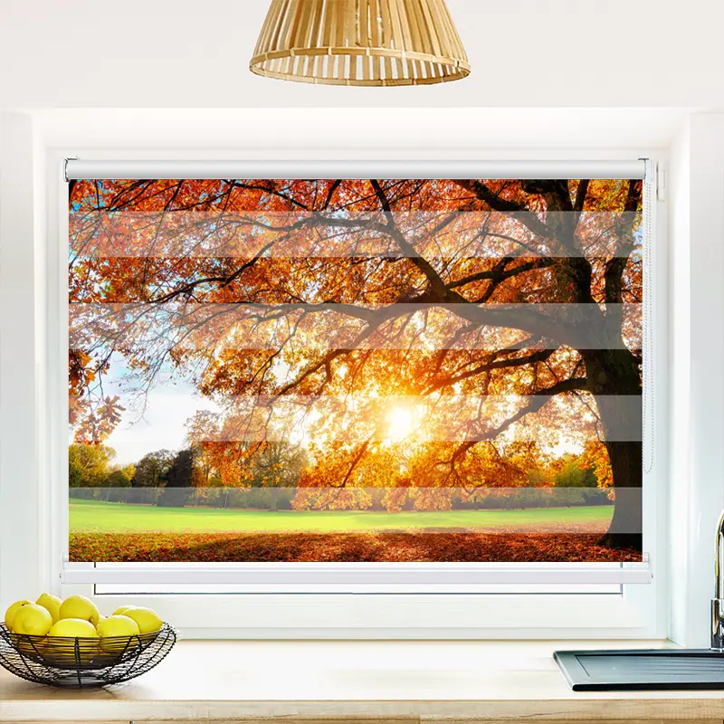 Klemmfix Doppelrollo 'Baum Herbst Sonnenstrahlen' | Klemm Doppelrollo