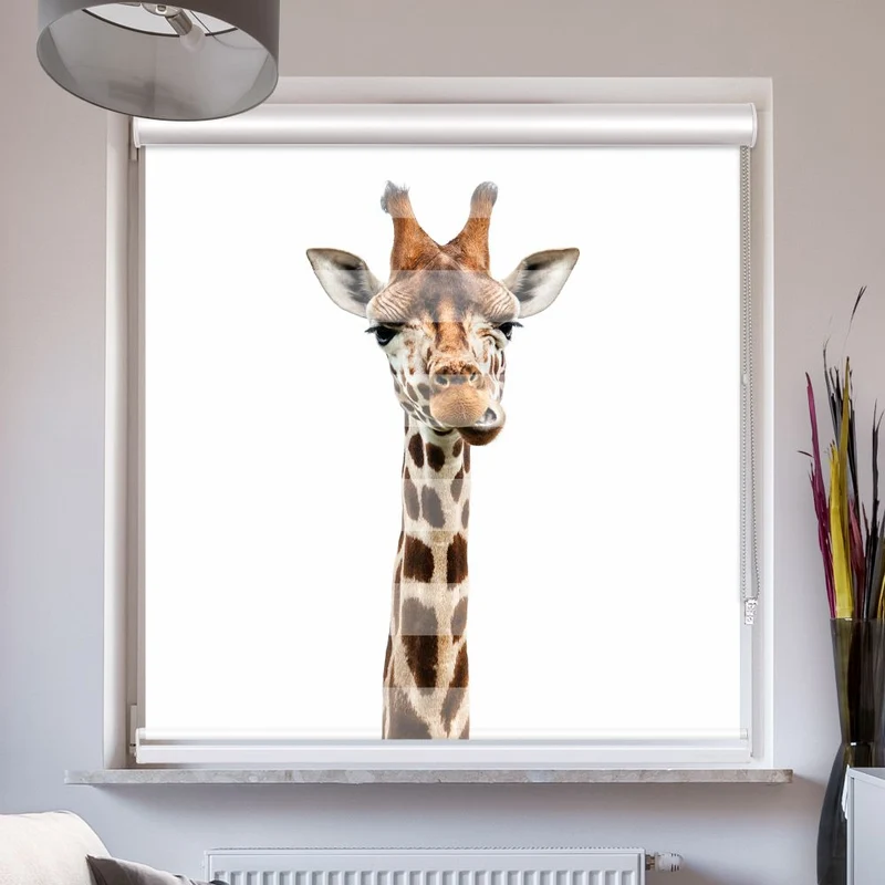 Doppelrollo mit Kassette "Giraffe"