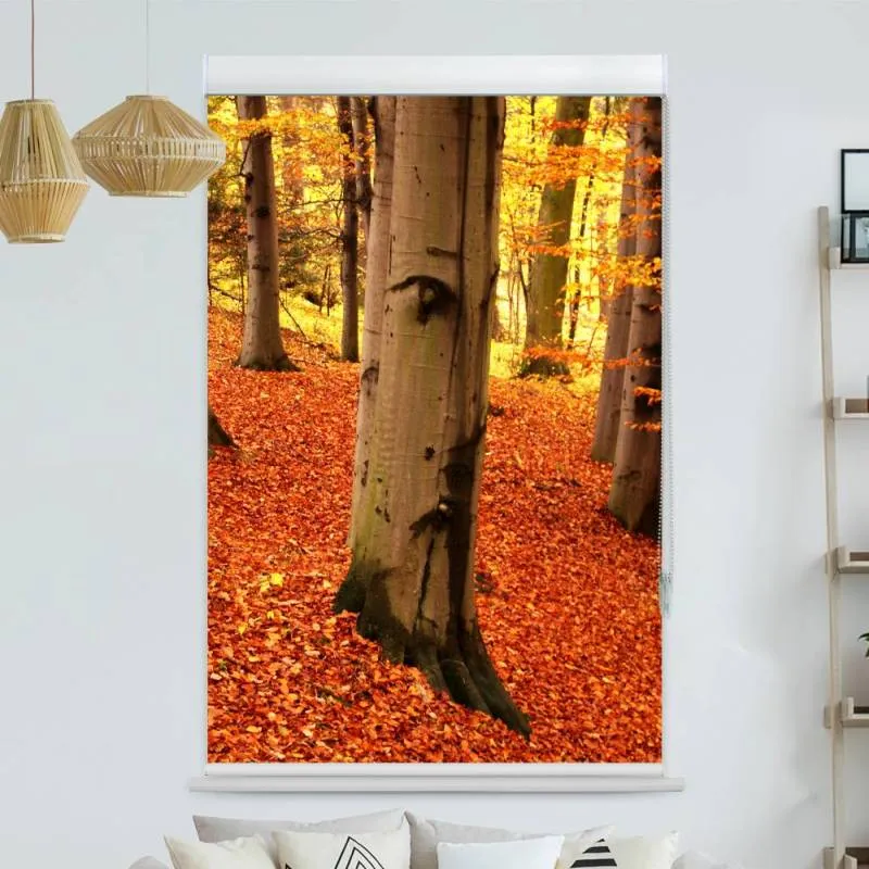 Kassettenrollo Motiv "Baum Im Herbst Mit Gesicht" | bis B 420 x H 420 cm