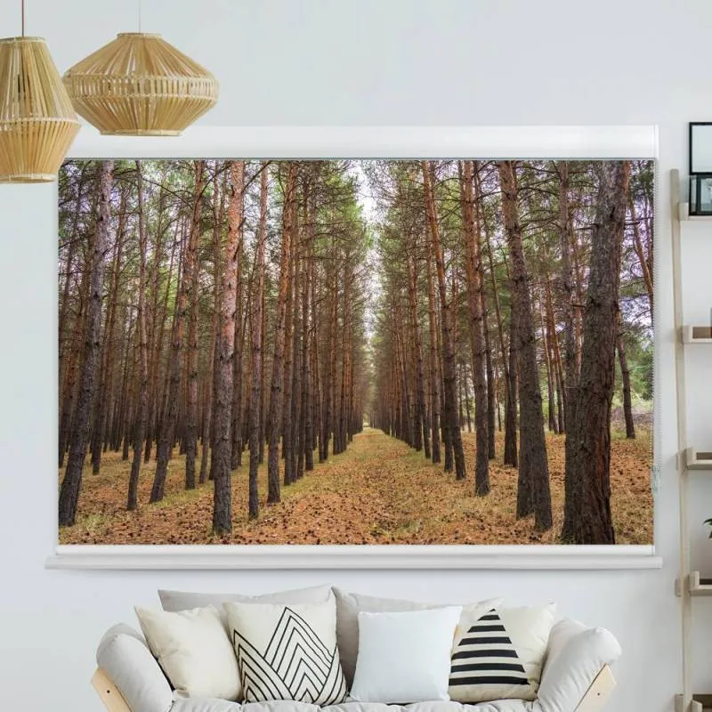 Kassettenrollo Motiv "Kiefernwald" | bis B 420 x H 420 cm
