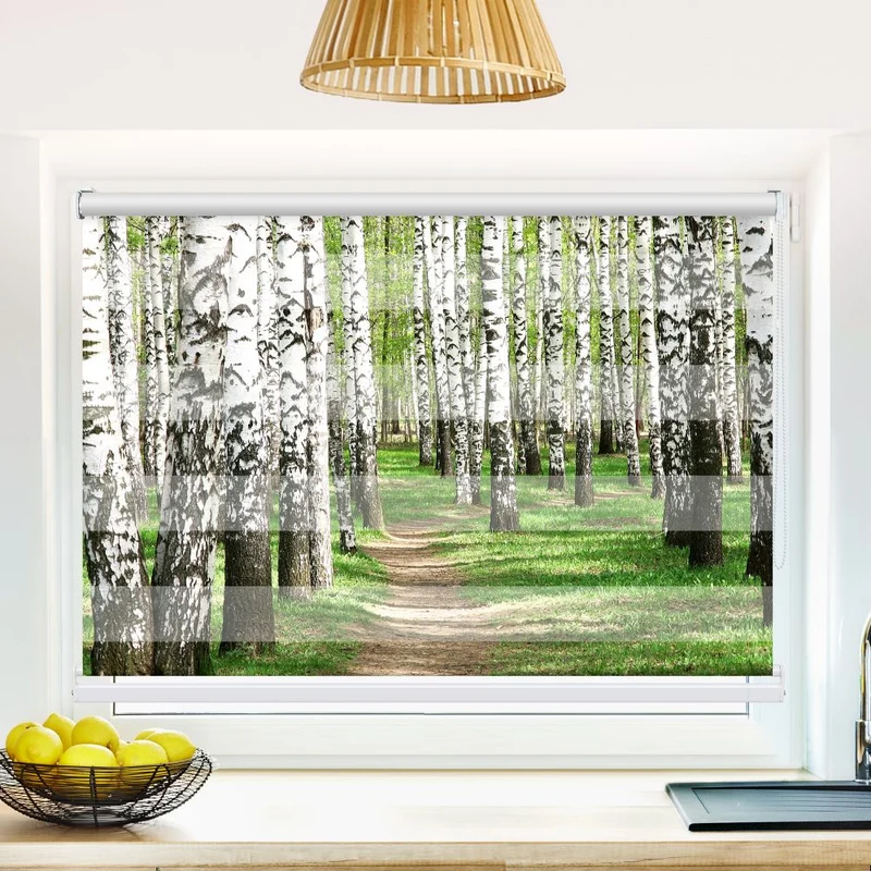 Klemmfix Doppelrollo 'Birkenwald Weg' | Klemm Doppelrollo