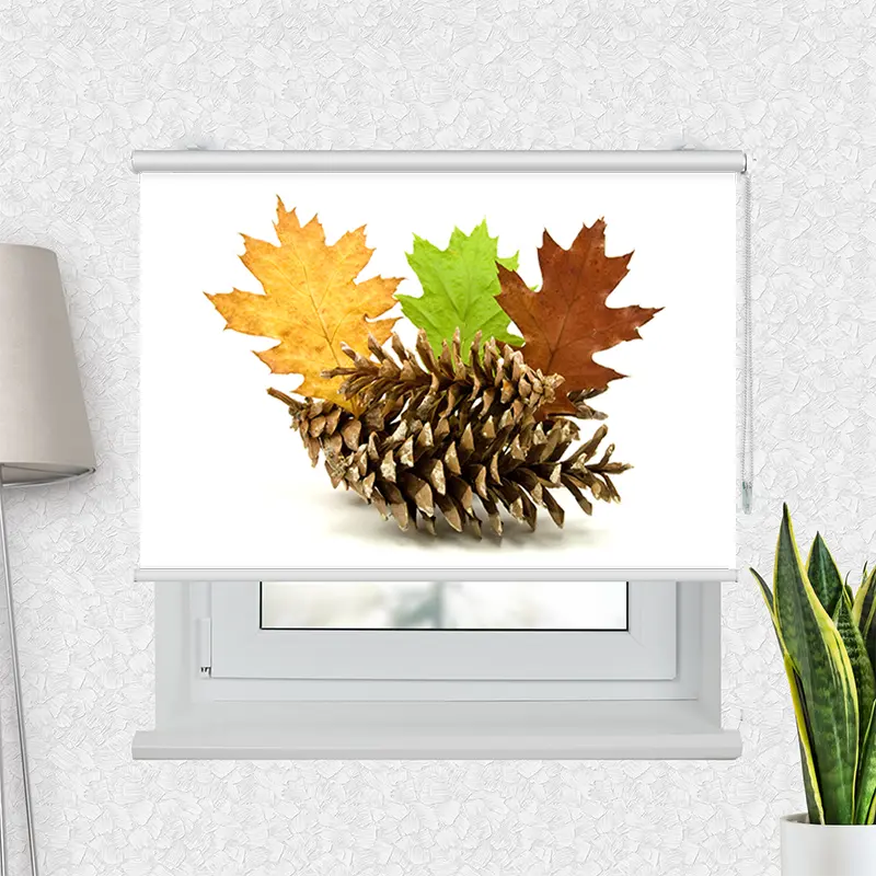 Klemmfix Rollo "Herbstdekoration" | Motiv-Klemmrollo