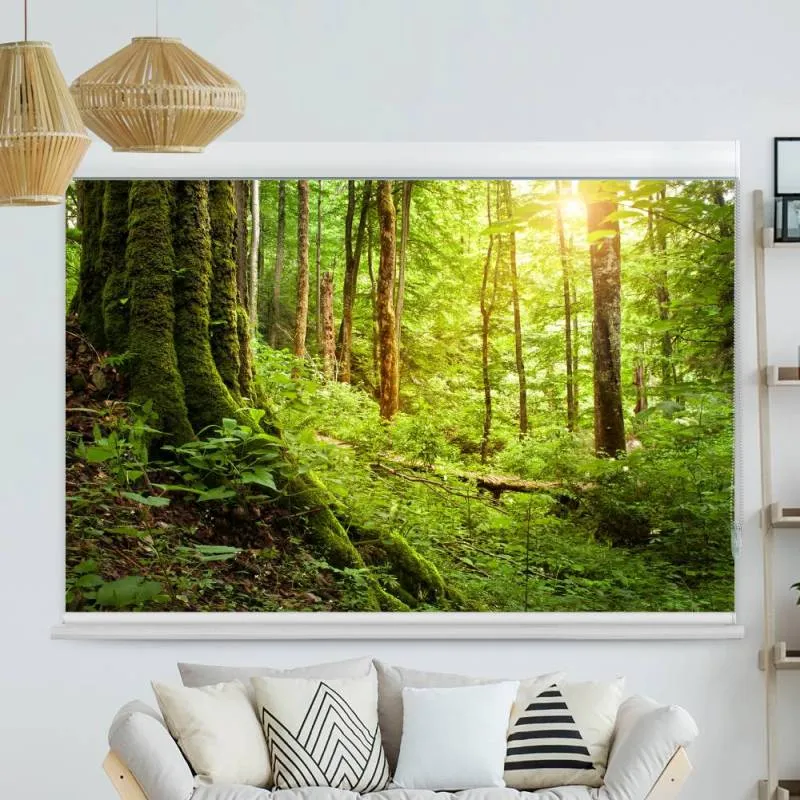 Kassettenrollo Motiv "Wald" | bis B 420 x H 420 cm
