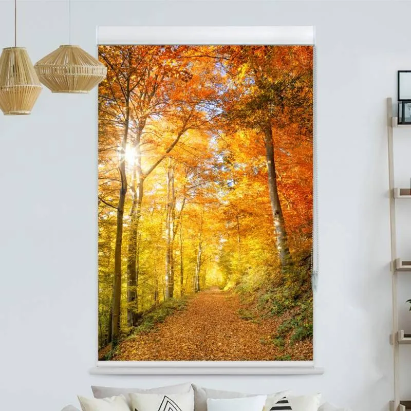 Kassettenrollo Motiv "Waldweg Herbst" | bis B 420 x H 420 cm