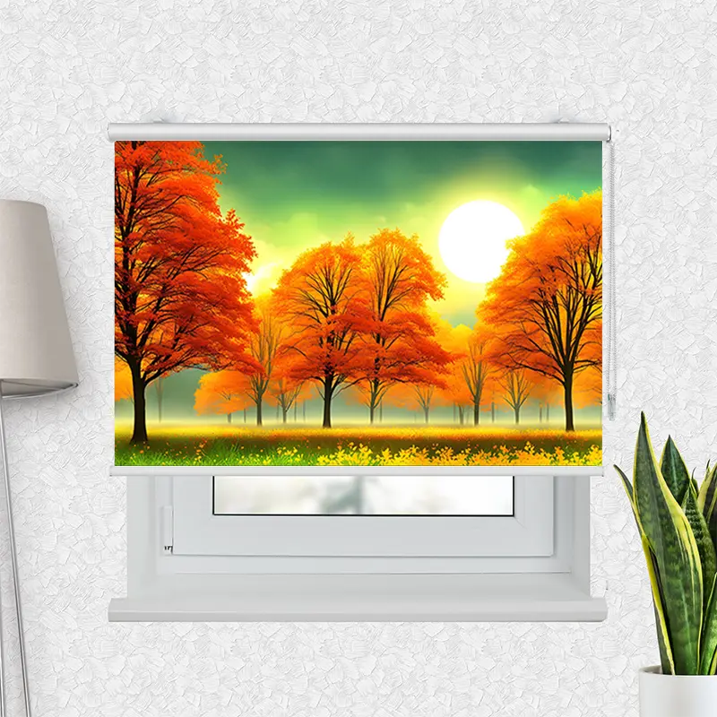 Motivrollo "Herbstwald Sonnenschein" | Bis B 430 x H 440 cm