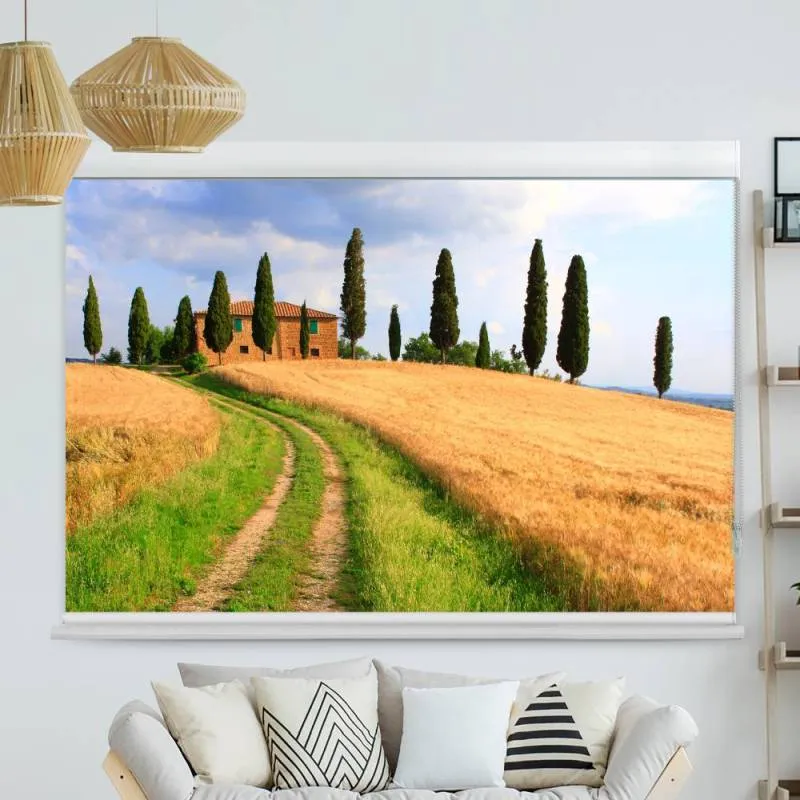 Kassettenrollo Motiv "Tosakana Feld Weg" | bis B 420 x H 420 cm