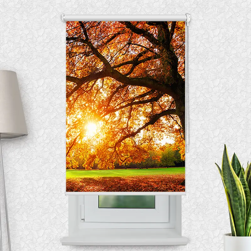 Motivrollo "Baum Herbst Sonnenstrahlen" | Bis B 430 x H 440 cm