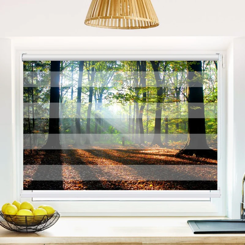 Klemmfix Doppelrollo 'Wald Laub Sonne' | Klemm Doppelrollo
