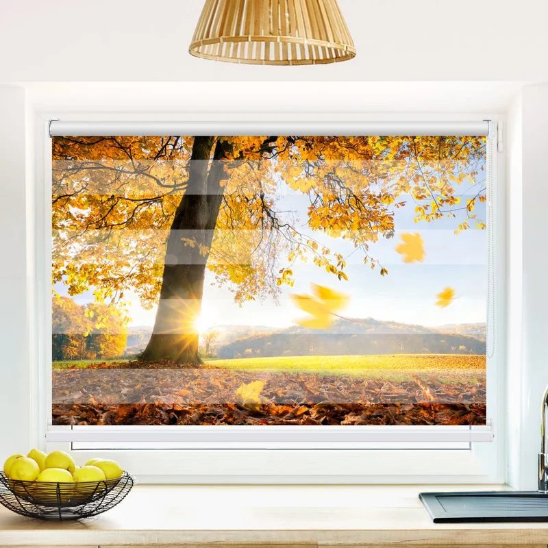 Klemmfix Doppelrollo 'Baum Wiese Herbst' | Klemm Doppelrollo