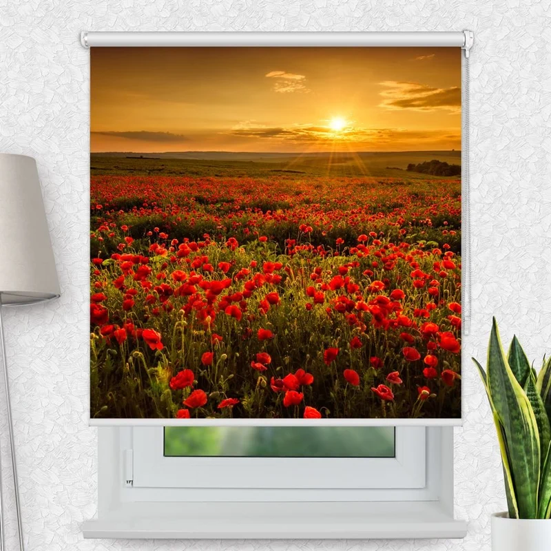 Motivrollo 'Mohnblumen Feld' | Bis B 430 x H 440 cm
