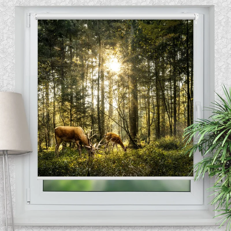 Klemmfix Rollo "Hirsch Reh Wald Sonnehirsch Sonne" | Motiv-Klemmrollo