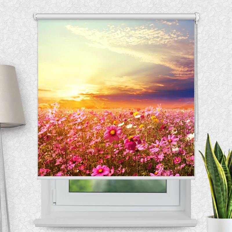 Motivrollo 'Koesmeen Wiese Blueten' | Bis B 430 x H 440 cm