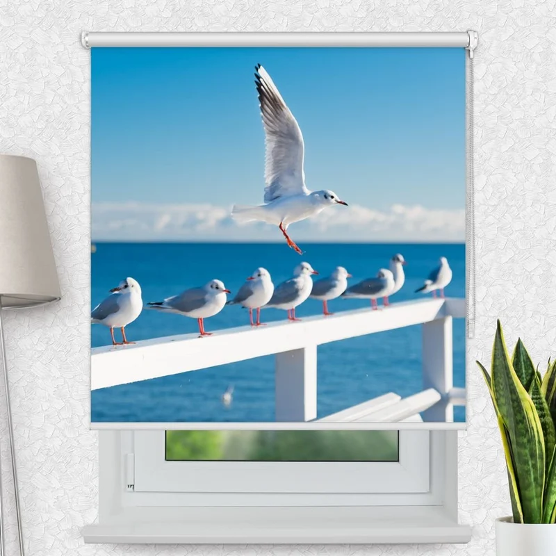 Motivrollo 'Moewen Meer' | Bis B 430 x H 440 cm