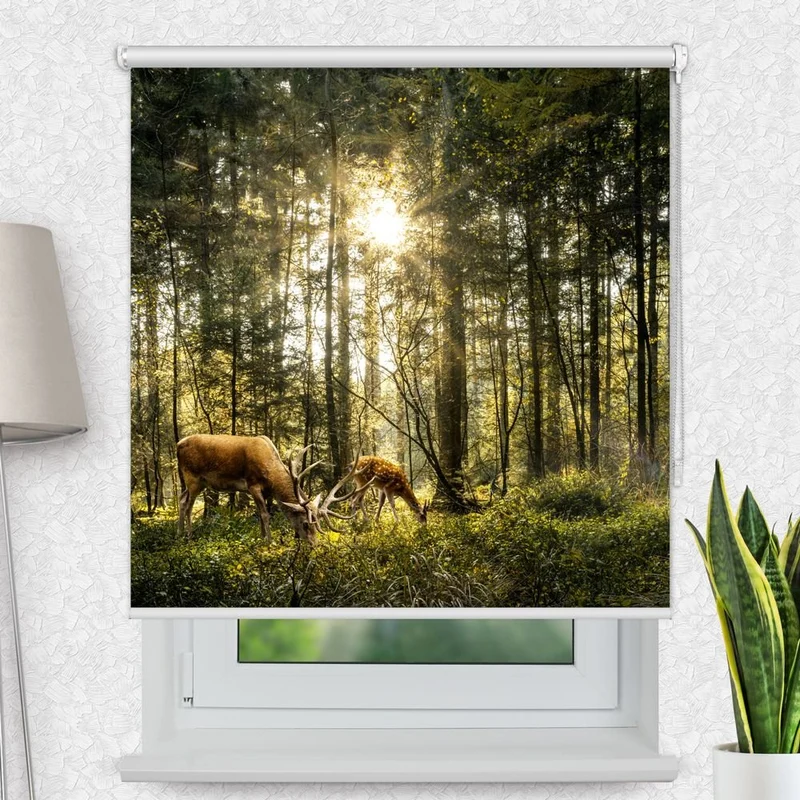 Motivrollo 'Hirsch Reh Wald' | Bis B 430 x H 440 cm