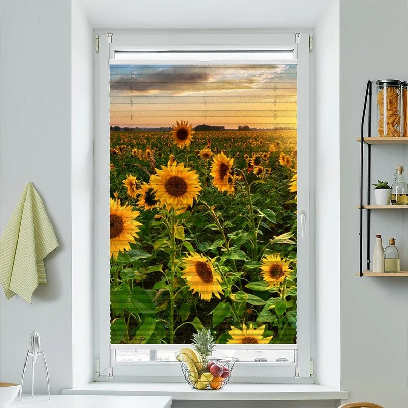 Wabenplissee Motiv "Sonnenblumen Sonnenuntergang Feld"