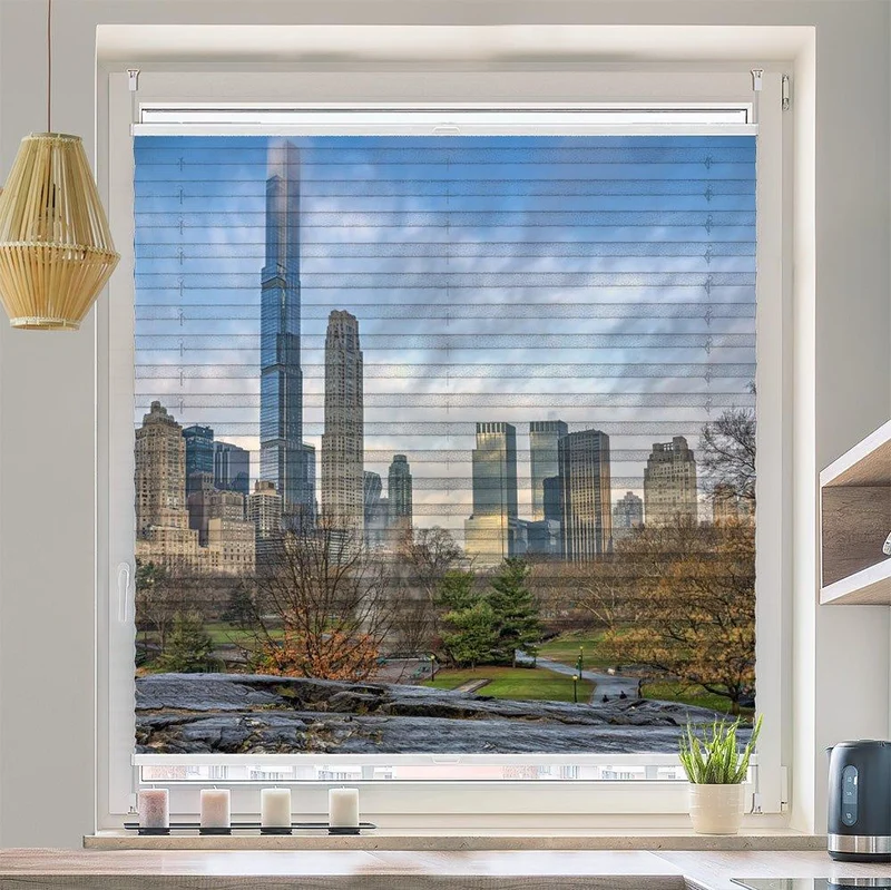 Wabenplissee Motiv "Central Park New York Manhatten"