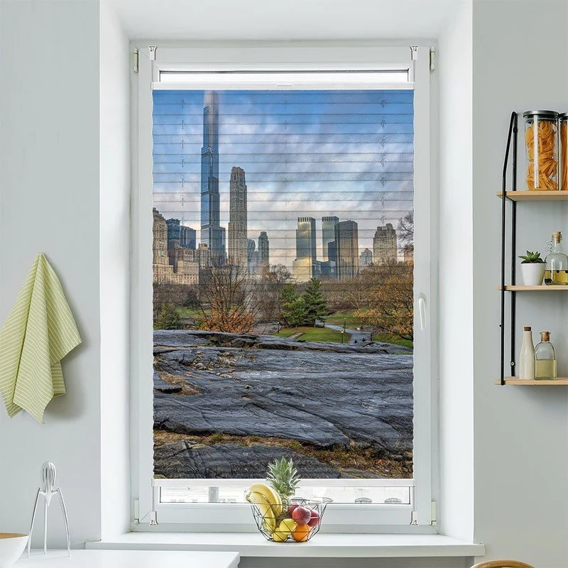 Wabenplissee Motiv "Central Park New York Manhatten"