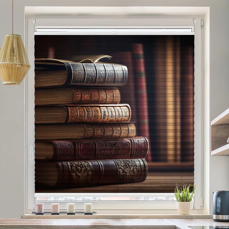 Plissee Motiv "Bücherregal vintage"