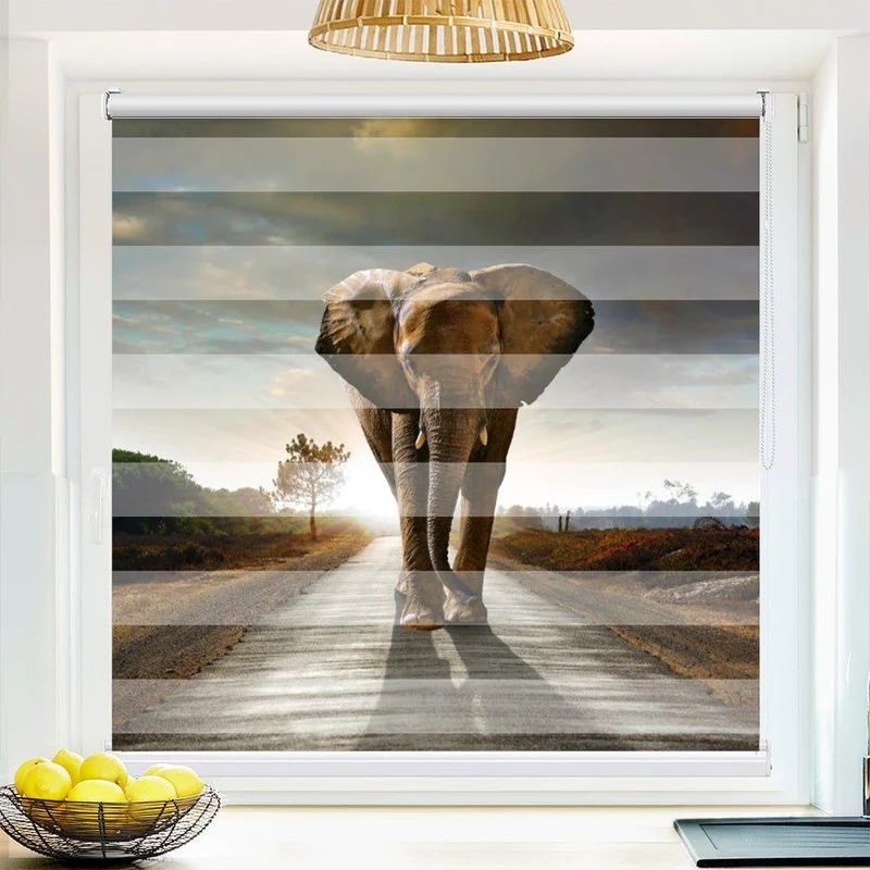 Klemmfix Doppelrollo "Elefant Afrika Weg" | Klemm Doppelrollo