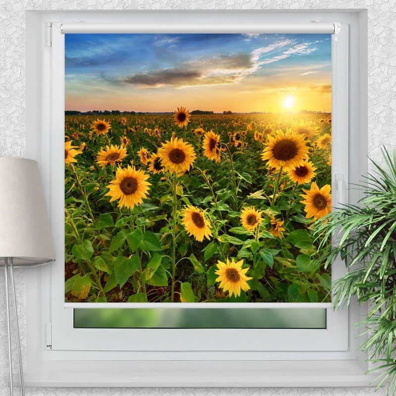 Klemmfix Rollo "Sonnenblumen Sonnenuntergang" | Motiv-Klemmrollo
