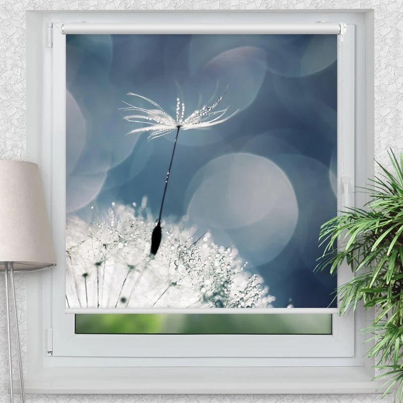 Klemmfix Rollo "Pusteblume Wassertropfen" | Motiv-Klemmrollo