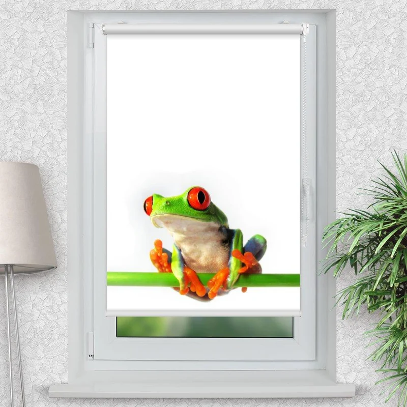 Klemmfix Rollo "Frosch" | Motiv-Klemmrollo