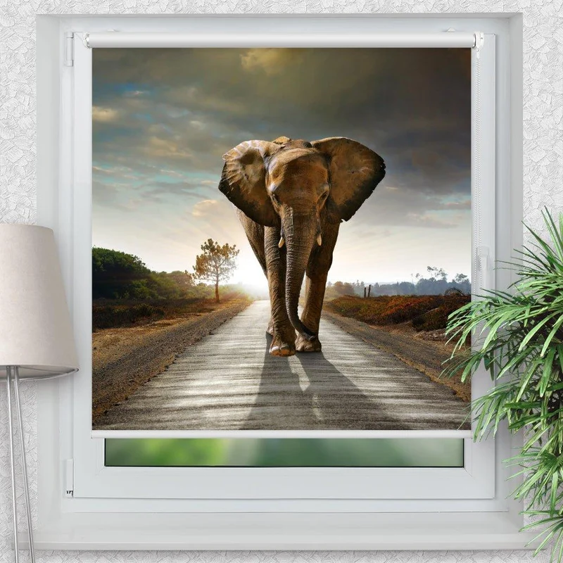 Klemmfix Rollo "Elefant Afrika Weg" | Motiv-Klemmrollo
